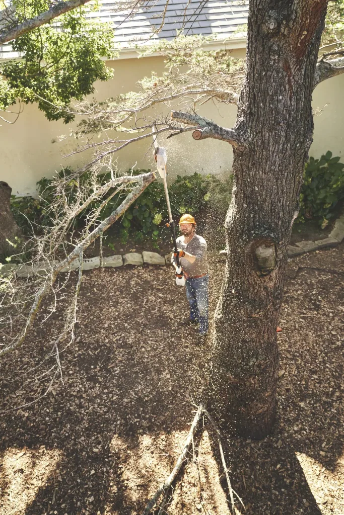 Cordless pole pruner HTA 50, basic unit without battery and charger