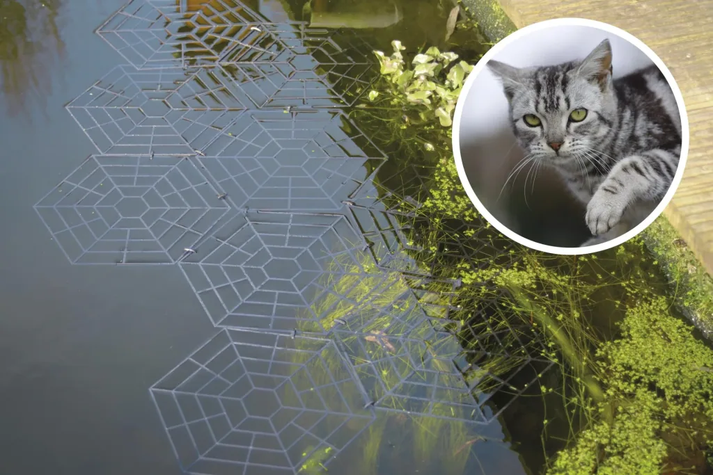 Bird protection pond grids, set of 60
