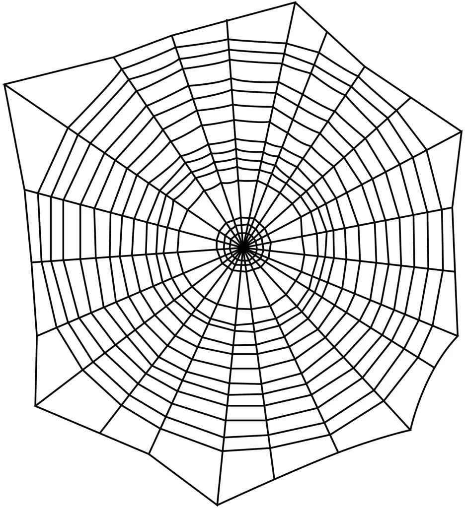 "Spinnen-Stopp", 500 ml