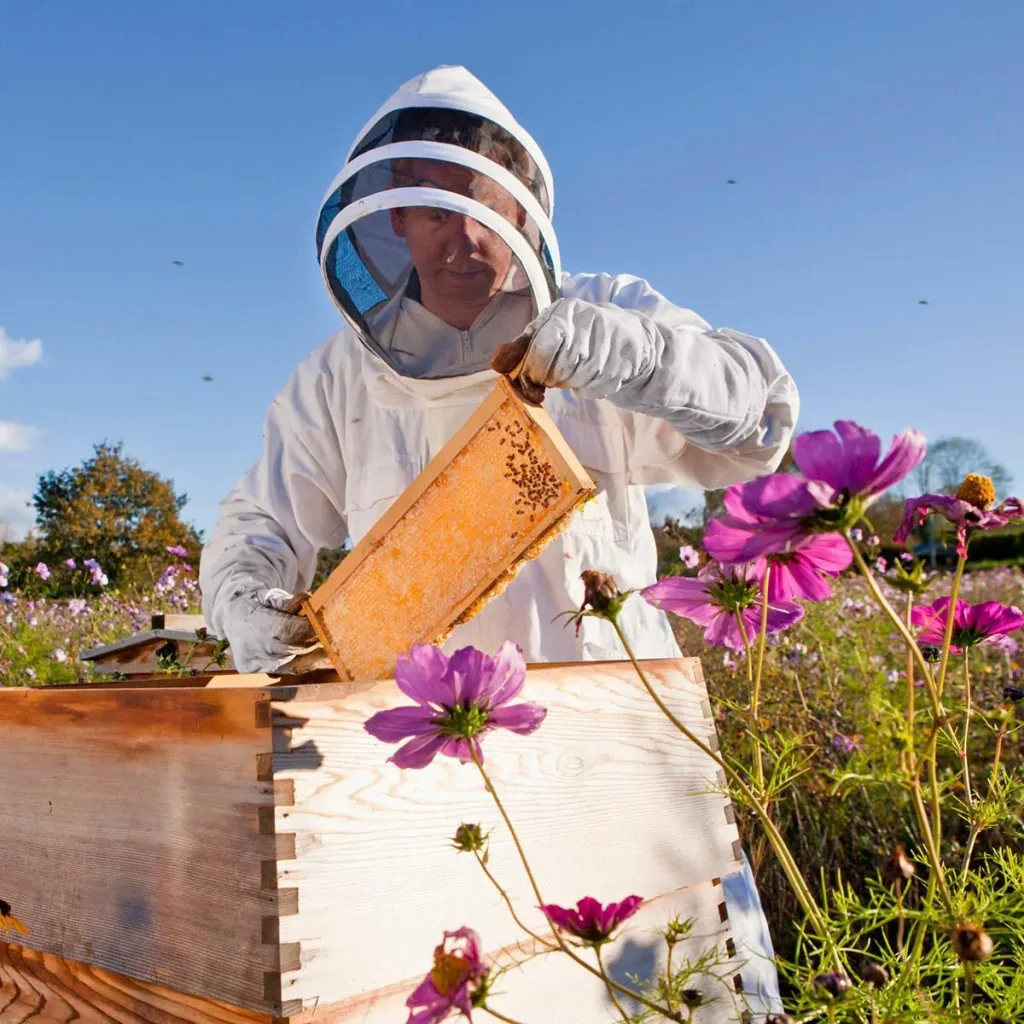 Beekeeping suit with goatskin gloves - Cotton - White - XXXL