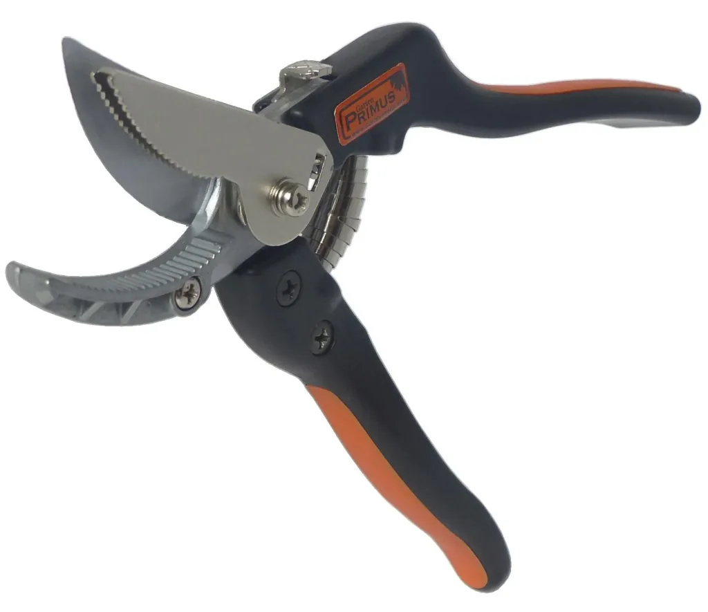 Rose gripping scissors
