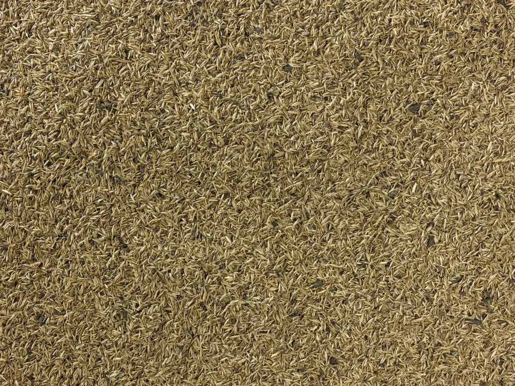 TerraVital Splendor & Elegance Lawn Seed Mix - 3 kg