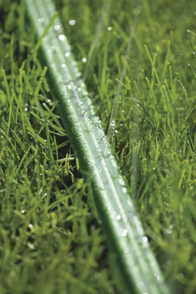 Spray hose, 15 m