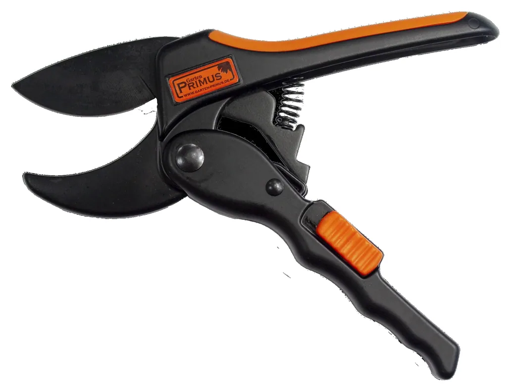Women's Power Gliding Scissors