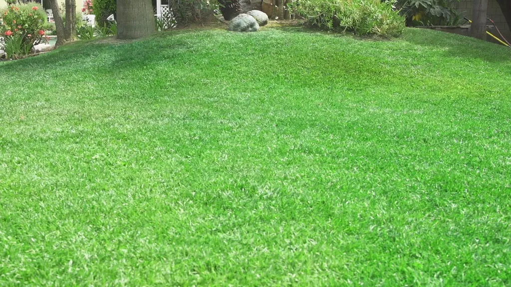 Hydro Mousse - Greening system lawn reseeding