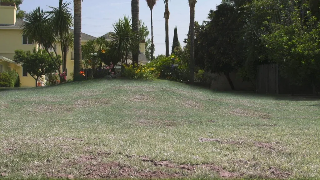 Hydro Mousse - Greening system lawn reseeding
