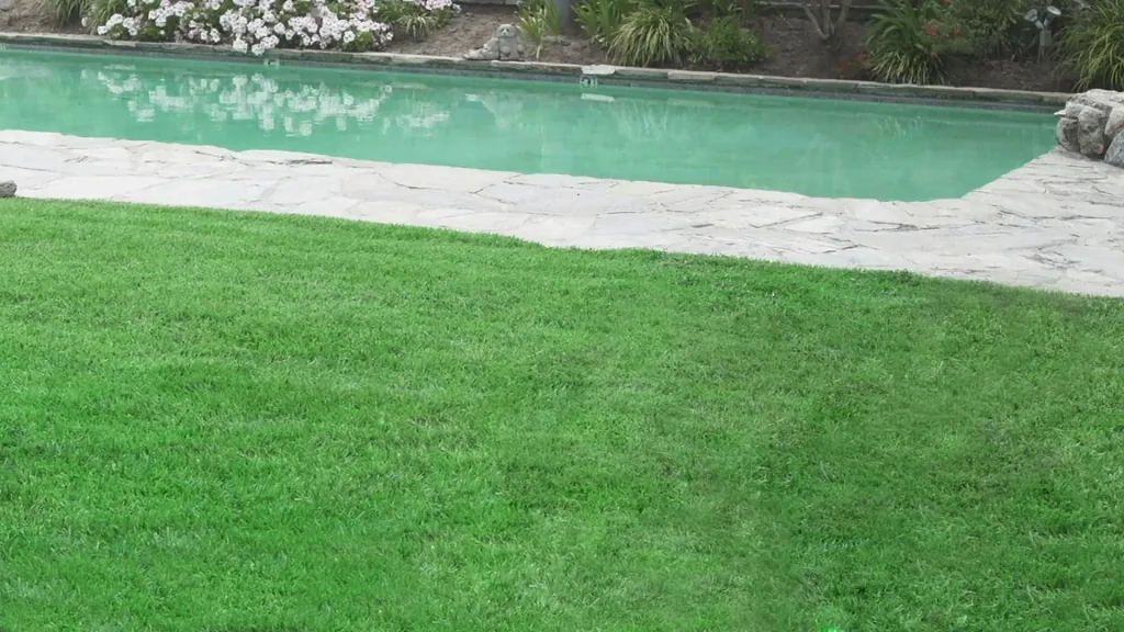 Hydro Mousse - Greening system lawn reseeding