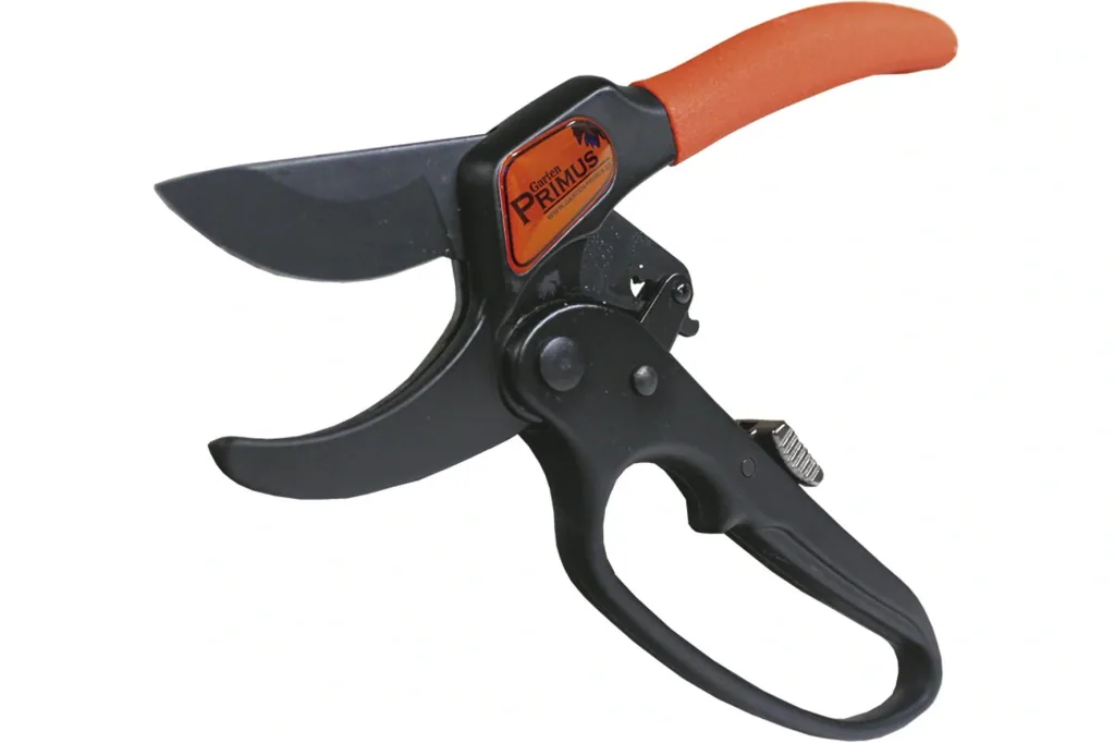 Ratchet pliers