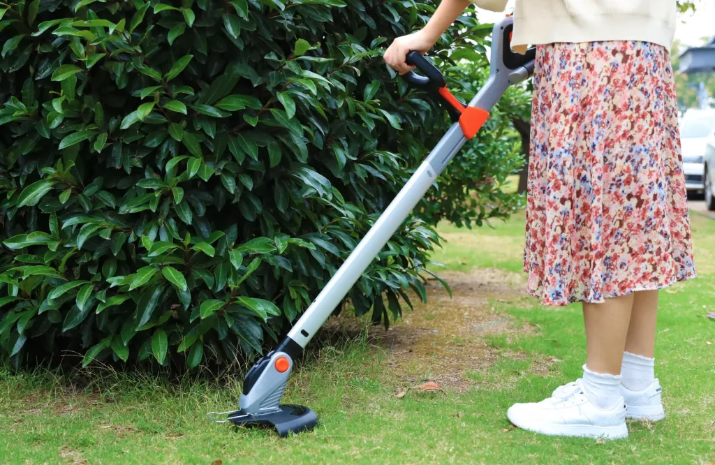 LT F23-EU 12V iFlex Rasentrimmer